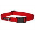 Sassy Dog Wear Sassy Dog Wear SOLID RED LG-C Nylon Webbing Dog Collar; Red - Large SOLID RED LG-C